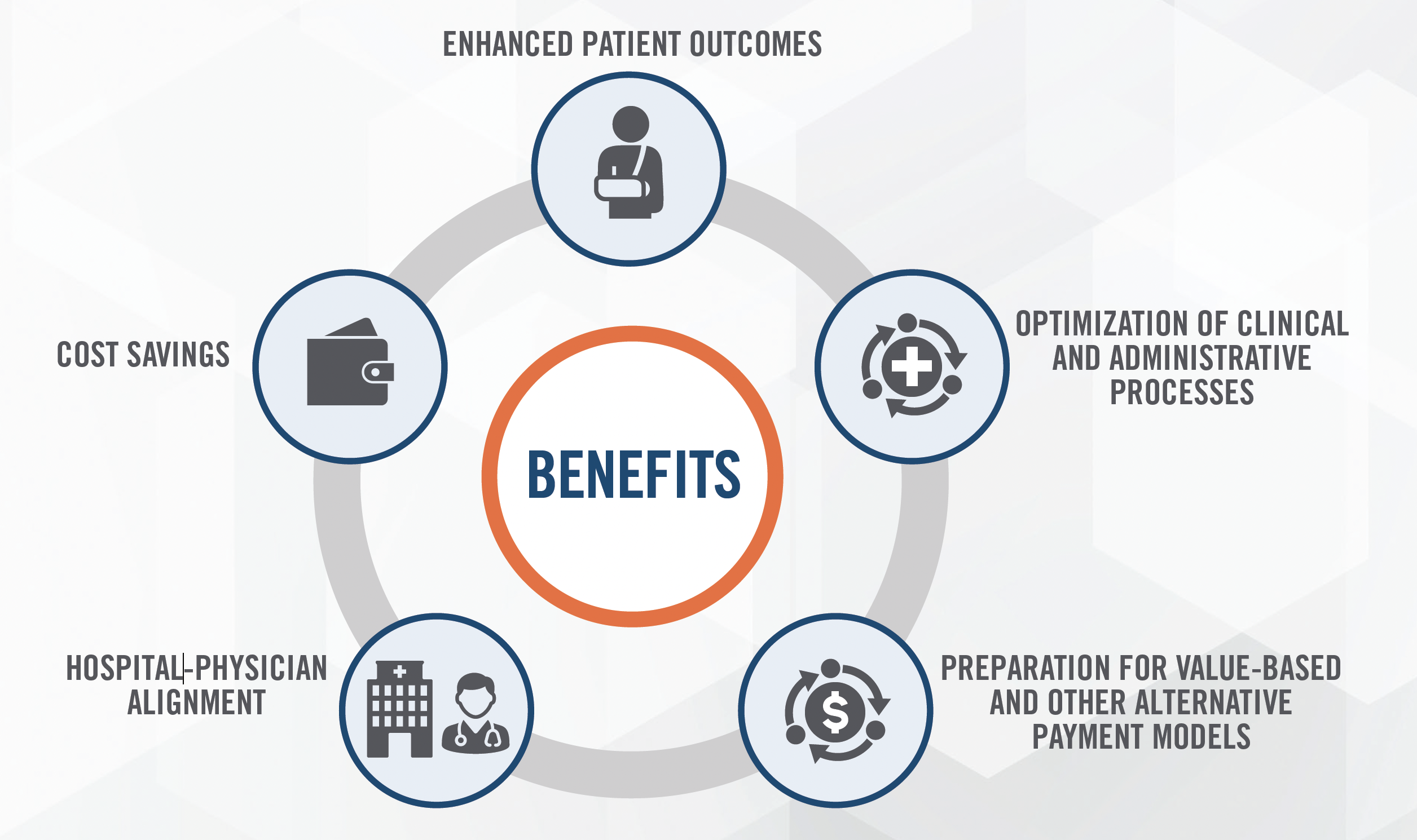 Service Line Co-Management and Value Based Care Strategy Figure 1